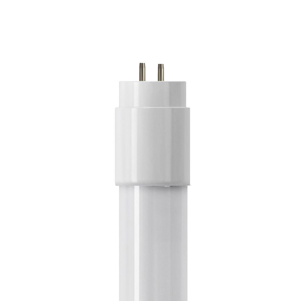 Tube T8 1100lm 1200mm 11,6W FOOD
