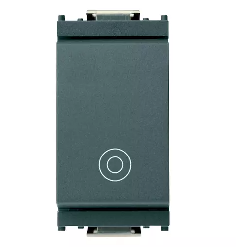 Pulsante 1P NO 10A generico grigio