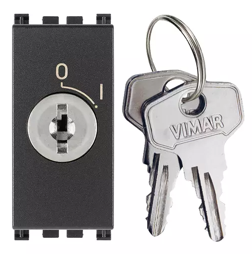 Pulsante 2P NO 16A +chiave unif. grigio